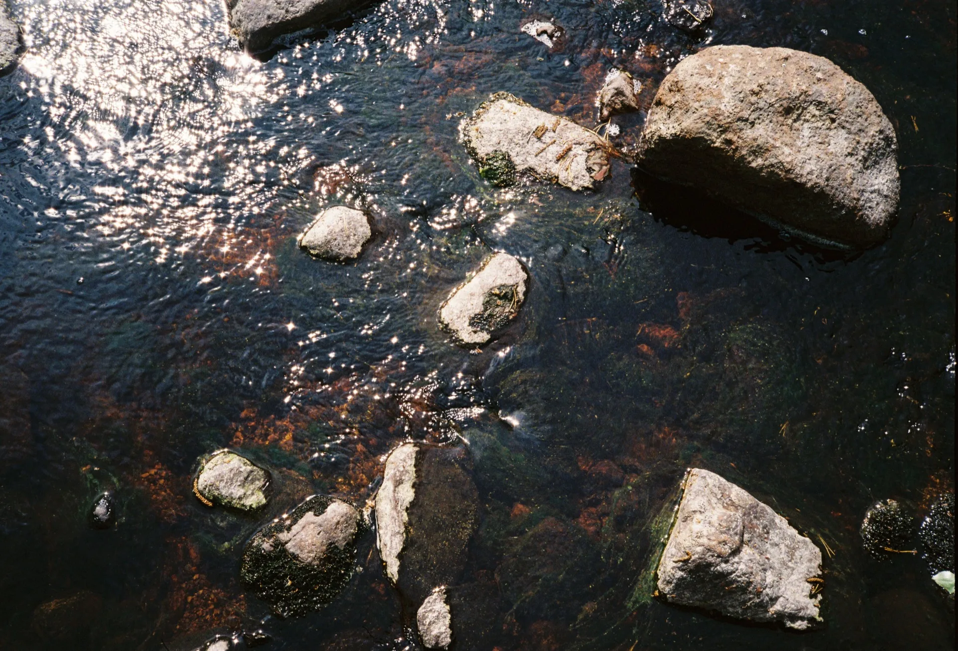 Water in small brook surrounded by rocks and moss.